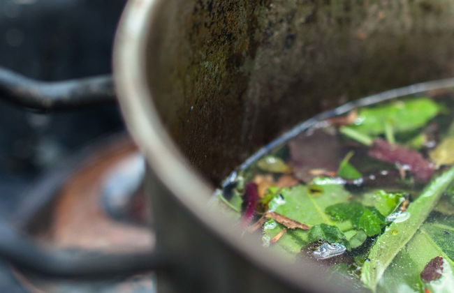 Cérémonie de l'ayahuasca à Templo Jempe - Photo 1