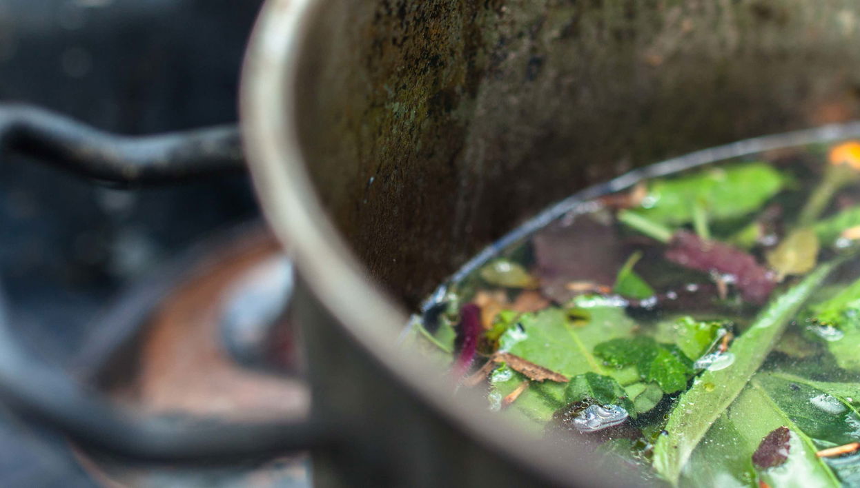 Cerimônia de Ayahuasca no Templo Jempe