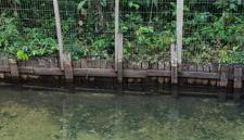 Sitio na floresta px a Belém - Foto 2