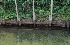 Sitio na floresta px a Belém - Photo 2