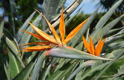 Triskelion - Foto 24