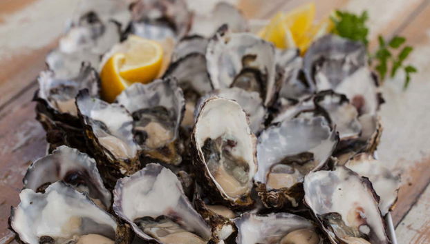 Le famose ostriche dell'isola di Bruny