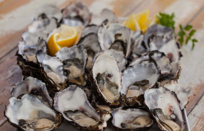 Escursione all'isola Bruny - Foto 5