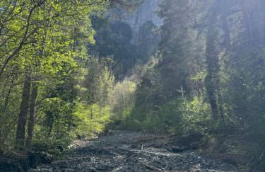 La Cabane Étoilée - Foto 15