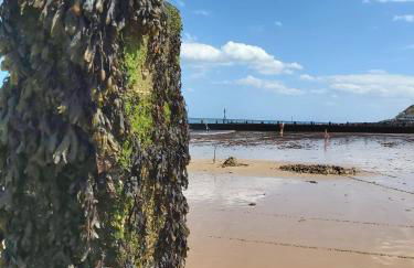 Detached House with Panoramic Sea Views - Foto 78