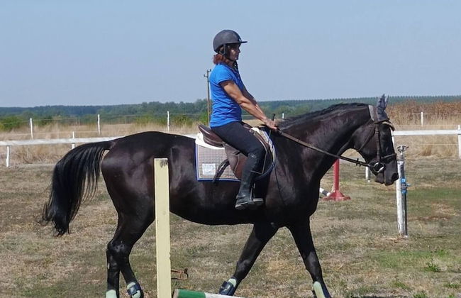 ESCUS HORSES - Foto 15