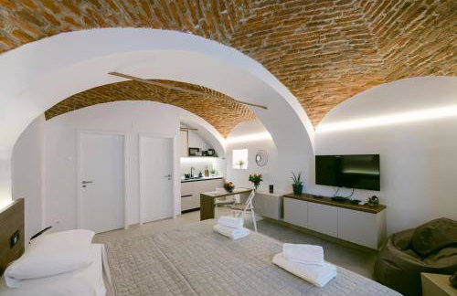 Brick Studio Apartment Tkalča - Foto 13