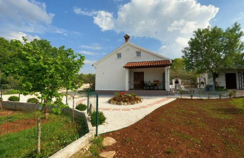 Spignoviza - Foto 53