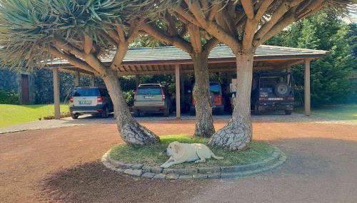 Gala Da Vittoria - Foto 5