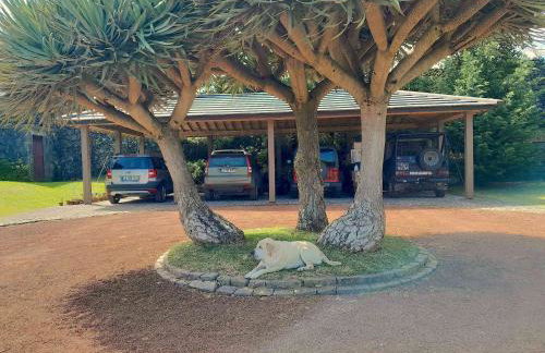 Gala Da Vittoria - Foto 5