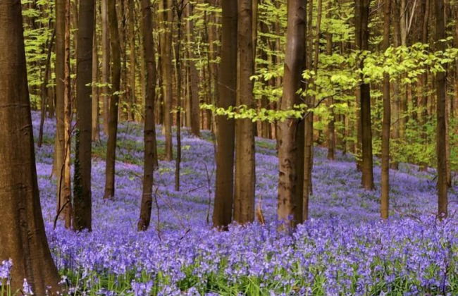 Croyde BAY Lodge 1 Bedroom - Photo 19