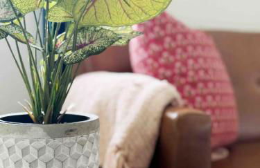 The Cardinal Studio Apartments - Foto 56