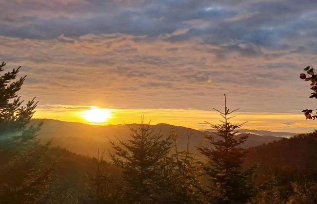 Apartment in Kleines Wiesental - Foto 32