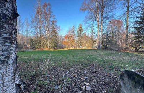 Lazy Bear Retreat at Talkeetna Lodge - Foto 36