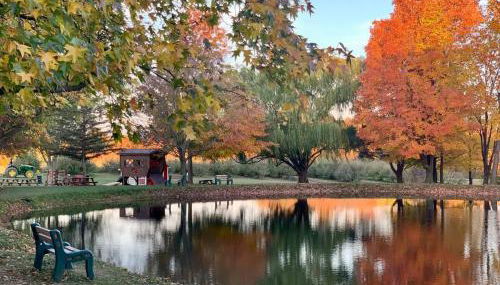 The Cortland Cottage at Brant's Apple Orchard - Foto 2