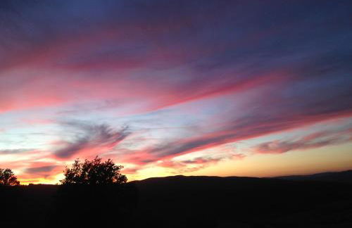 Il Burellino Wine & Resort - Photo 32