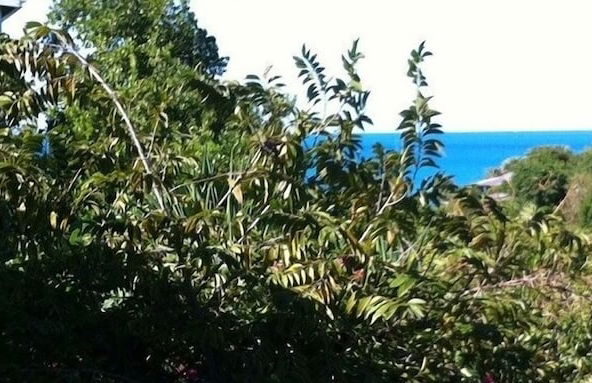 Galley Bay Cottages - Foto 77