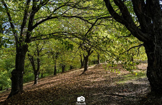 TOTTAM EXPERIENCE - Foto 57