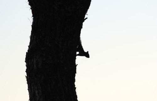 Agriturismo La Valle del Vento Urbino - Foto 53