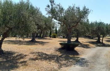 Villa Fiorentina e la Costa dei Trabocchi - Foto 46