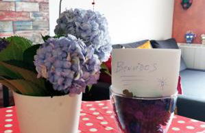 Apartamento Boho Chic Costa da Morte A Favela - Foto 36