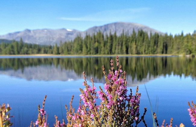 4 Person Holiday Home in Hemsedal - Foto 19