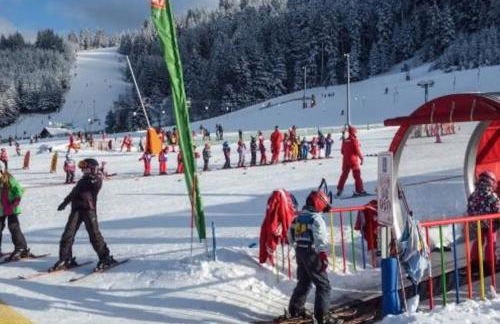 Charmant logis Gérardmer - Photo 50