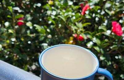 Cantinho da Lourdes e Tonito Nº 136193/AL - Foto 28