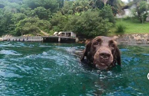 Marujada Experience Corisco Paraty - Foto 23