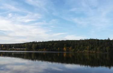 Ferienwohnung Hasenfratz - Foto 49