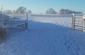 The Haybarn - Foto 52