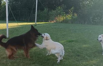 R&R Mielno Domki Letniskowe - Foto 9