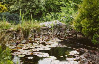 Agroturystyka u Miłosza - Foto 30