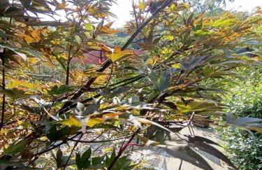 123 la casa nel bosco - Foto 9