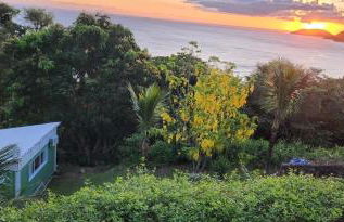 Will Container Experience - Foto 10