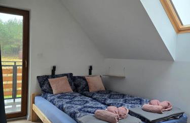 Szyszki i Motyle - Photo 10