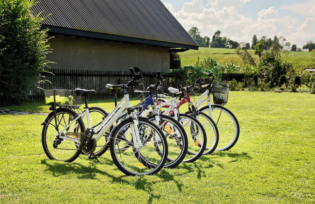 Tatra Wooden Apartment - Photo 23