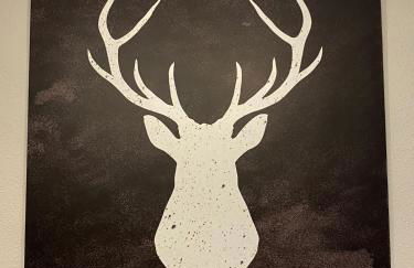 Origen Pelaire excelente limpieza y ubicacion - Photo 13