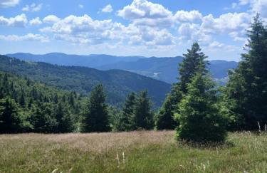 chalet Leon - Foto 19