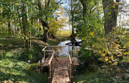 Dachgeschosswohnung Warft Simmerdeis in Reetdachhaus mit parkähnlichem Garten - Foto 25