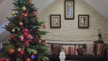 Little Owl - Photo 5