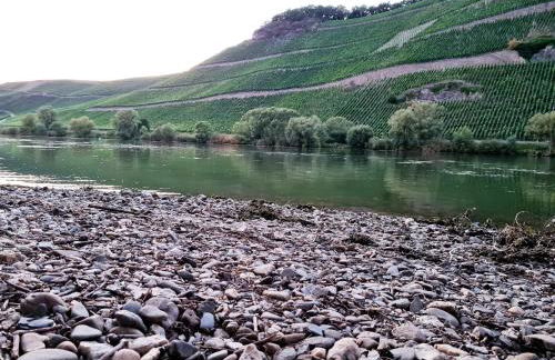 FeWo Sonnenlay - Apartments an der Mosel - Foto 20
