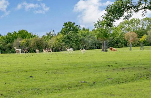 1 Bed in Bedford oc-79095 - Foto 13