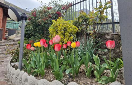 Amore di lago - Photo 48