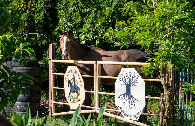 Eco Park Inn - Foto 21