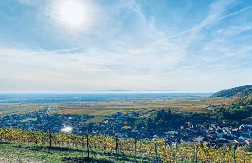 HALBSTÜCK - Ferienwohnungen am Kropsbachpark - Foto 22