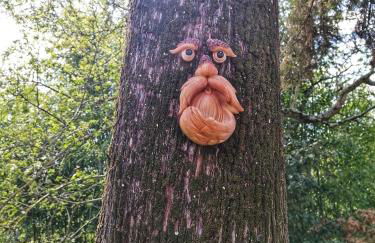 Casa nel bosco il Grottone - Foto 46