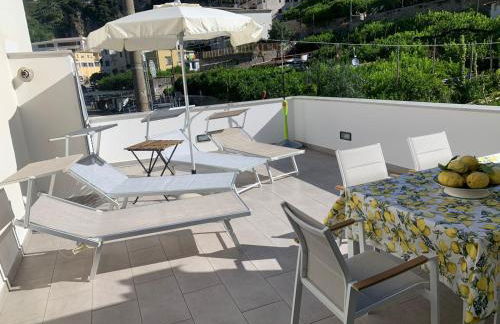 L'albero della vita - Photo 19