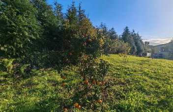 Casa do Almance - Foto 45