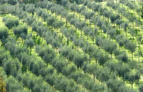 Apartment in Umbria near Montefalco Winery - Foto 26